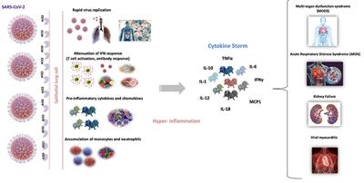 COVID-19: In the Eye of the Cytokine Storm